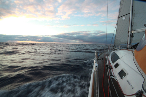 IMG_2834.JPG IMG_2834.JPG